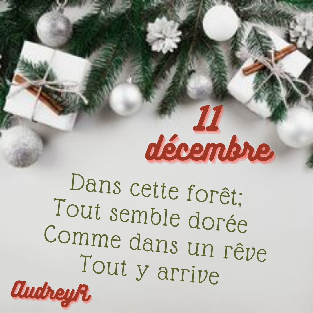 11 decembre