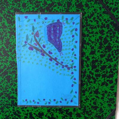 Papillon / Butterfly