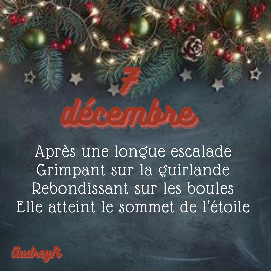 7 decembre